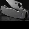 Titech Spyderco PM2 Stone Washed Titanium Scales -Outdoor Survival Gear HH SC SW P2.3 41263.1635785472