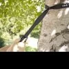 ENO Atlas Hammock Suspension System -Outdoor Survival Gear atlastraps3 78566.1631104540